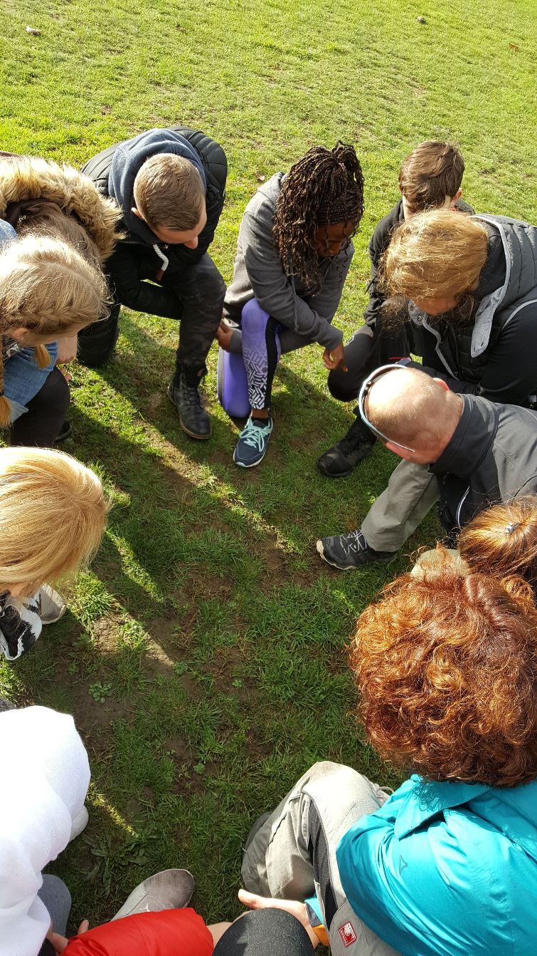 Read more about the article Teambuilding im Klettergarten am U-See