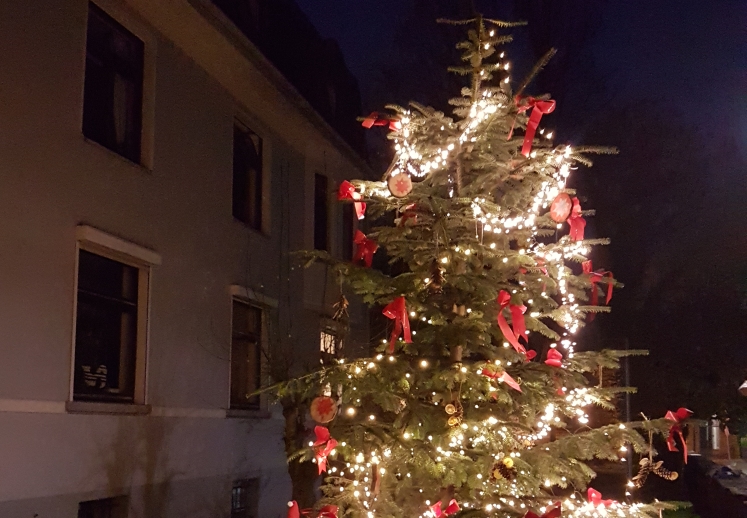 Mehr über den Artikel erfahren Weihnachtsfeier