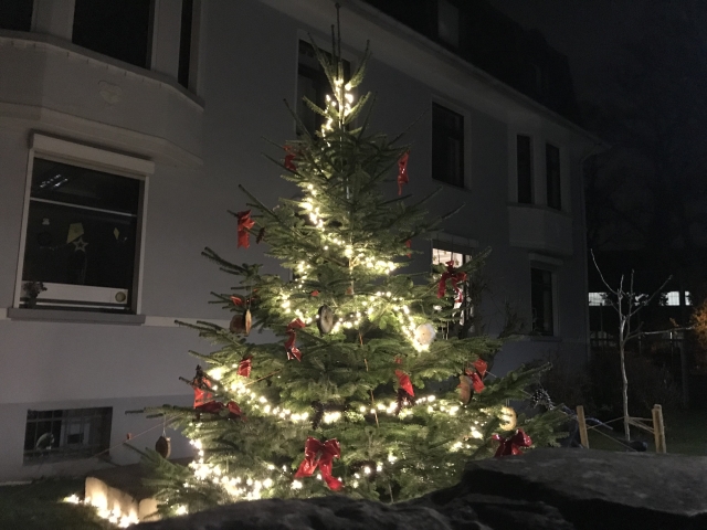 Mehr über den Artikel erfahren Weithin sichtbar: unser gespendeter Tannen-Lichterbaum