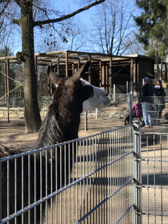 Mehr über den Artikel erfahren Ausflug in die ‚FAUNA‘