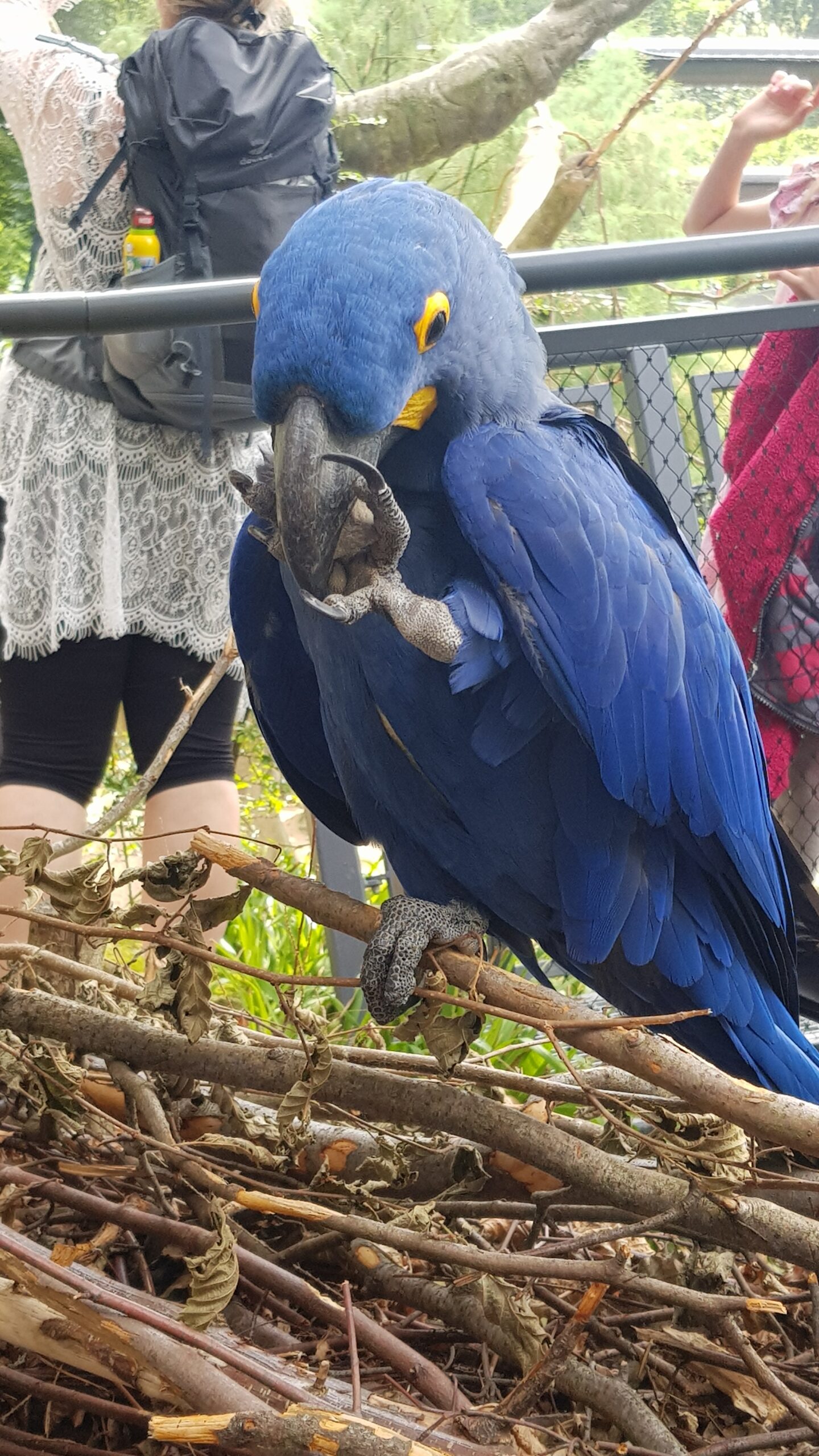 Mehr über den Artikel erfahren Ein Besuch im Zoo- ne wat is dat schön!