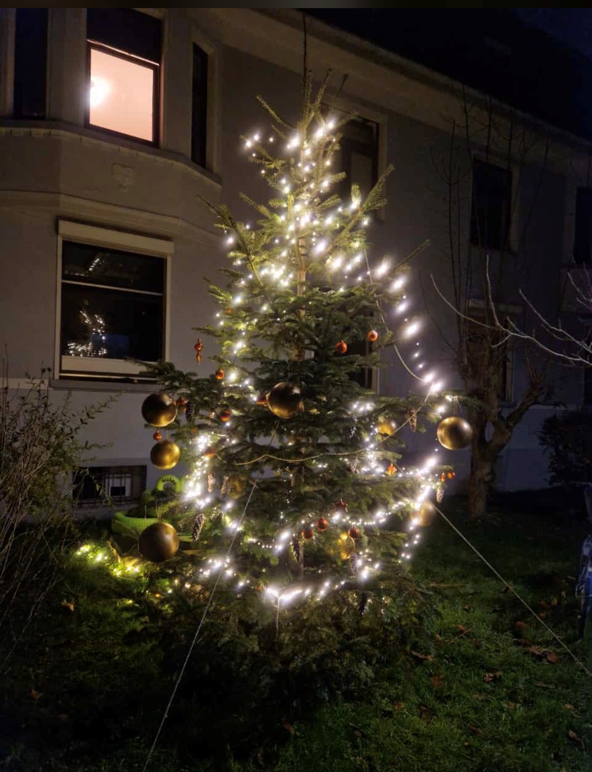 Mehr über den Artikel erfahren Eltern und Kinder schmückten unseren Tannenbaum🎄