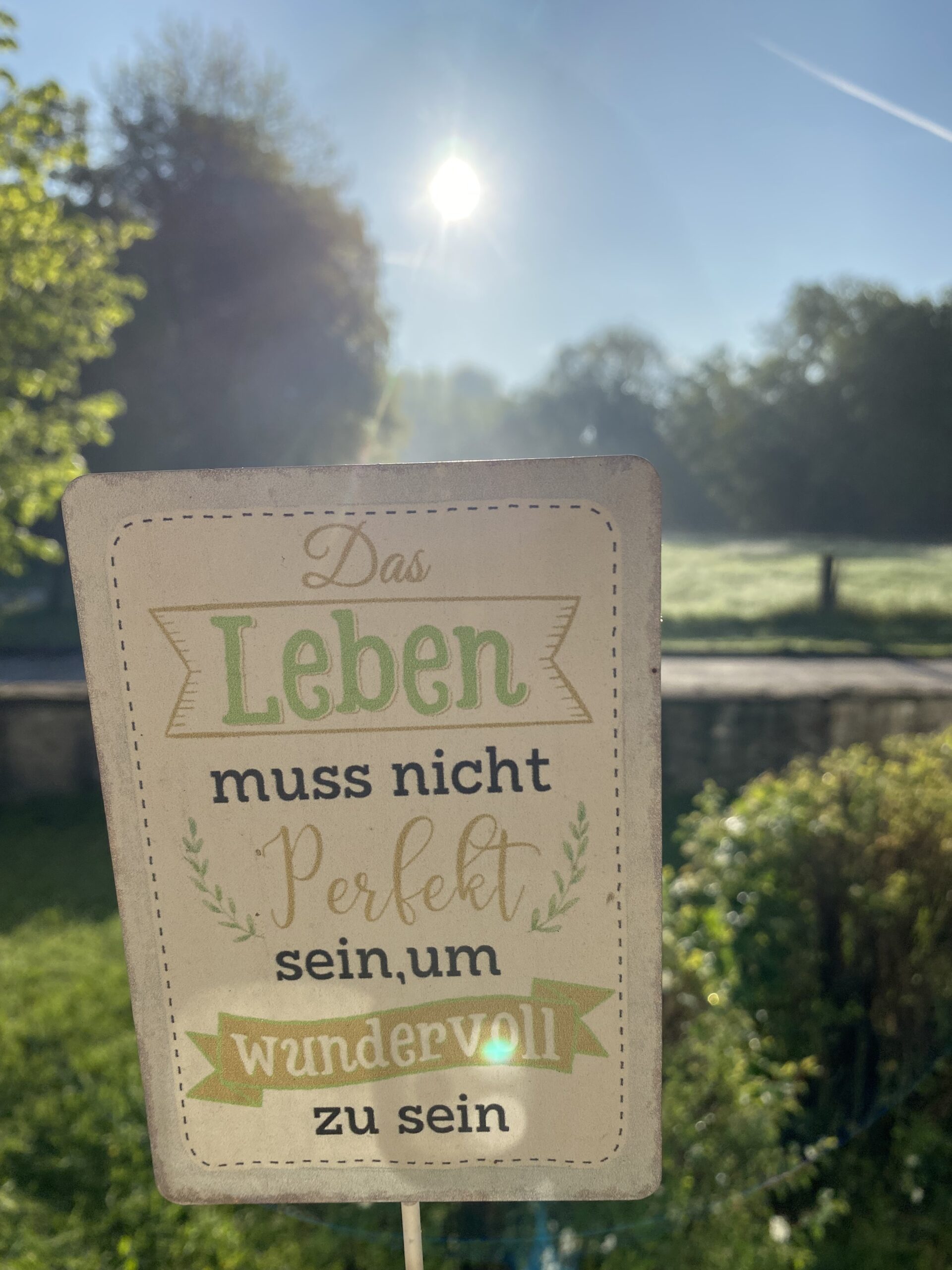 Du betrachtest gerade Ein großes DANKESCHÖN an unsere Spender!