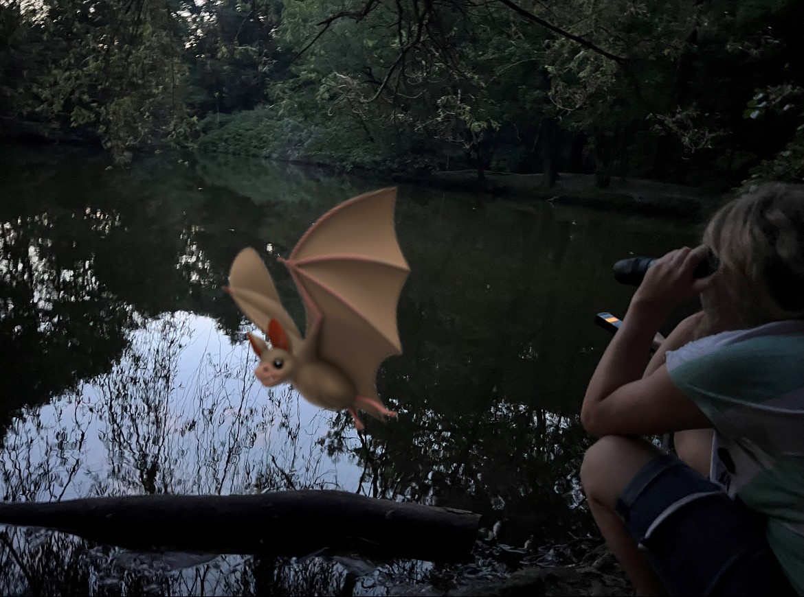 Mehr über den Artikel erfahren Fledermaus im Hildener Stadtwald ?