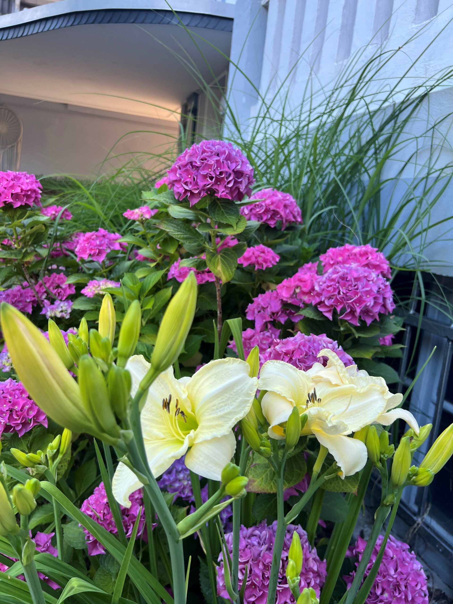 Du betrachtest gerade Lilien im Garten unseres Kinderheimes