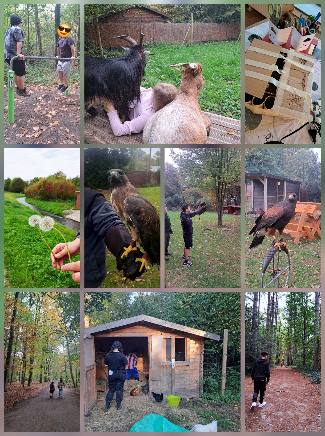 Du betrachtest gerade Herbstferien 2025 im Freiraum