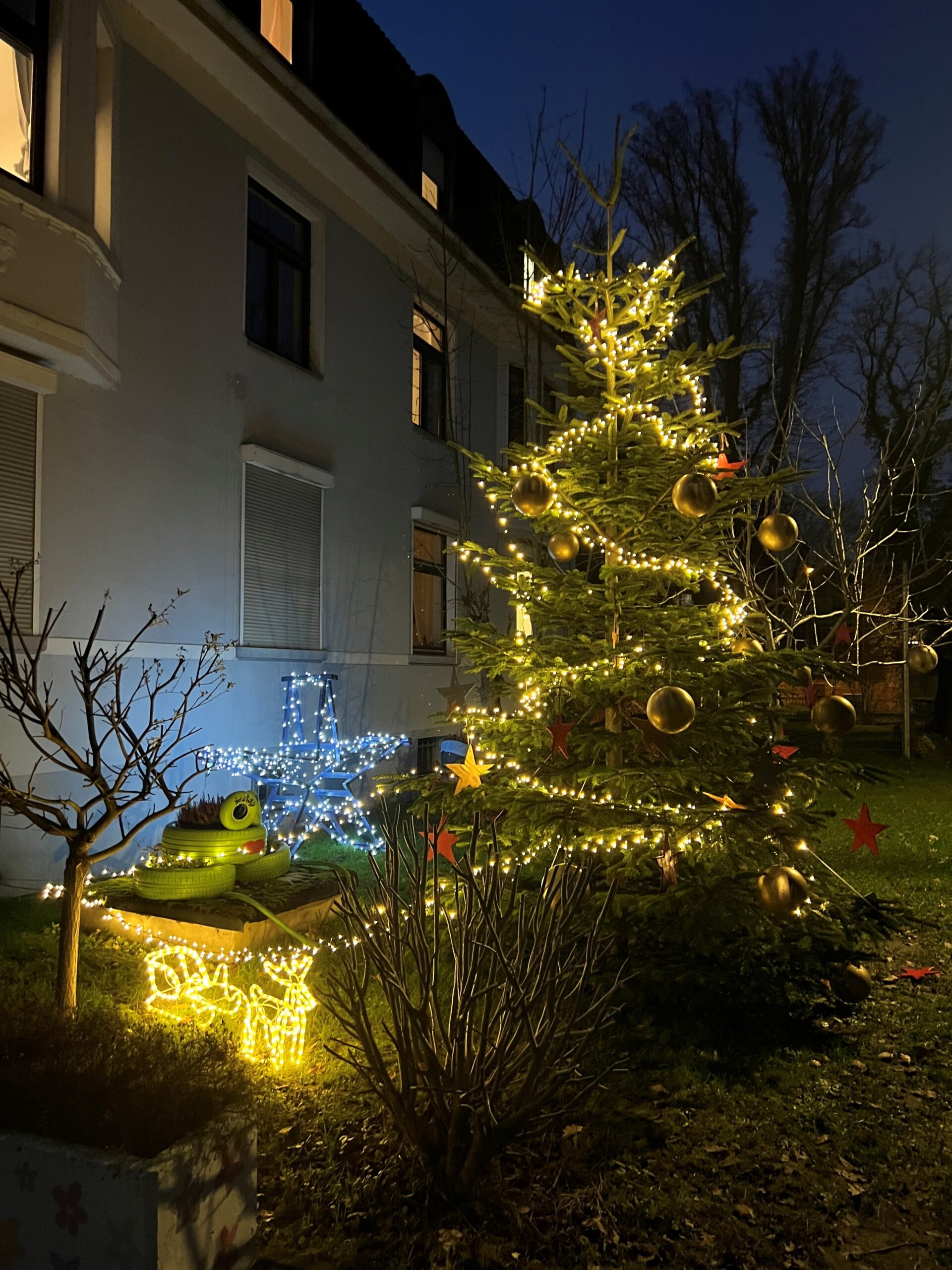 Mehr über den Artikel erfahren 🎶Fröhliche Weihnacht Überall🎶