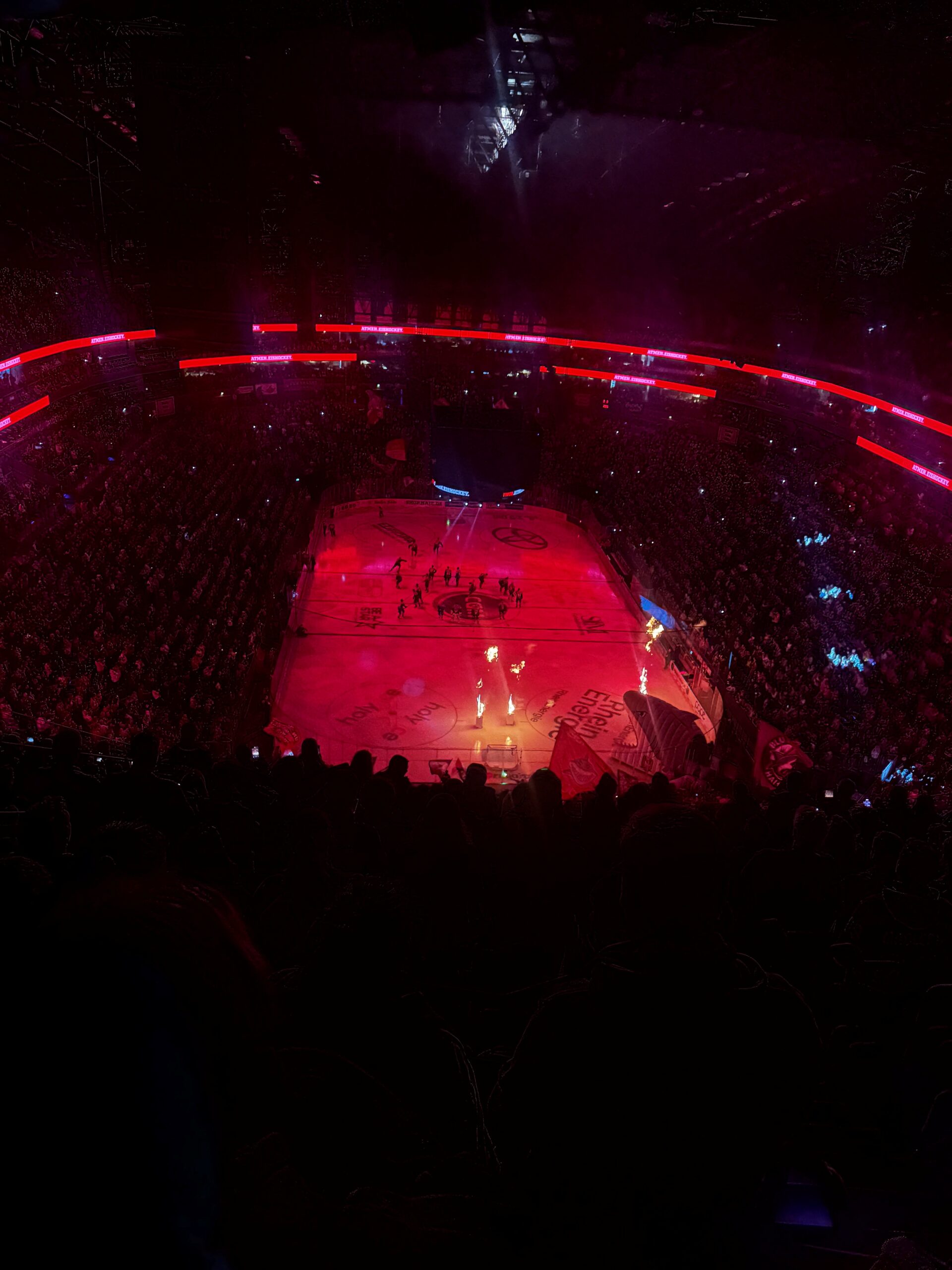 Du betrachtest gerade Ein spannender Eishockey-Nachmittag mit den Kölner Haien 🏒
